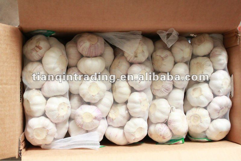 2017 Jinxiang fresh garlic price