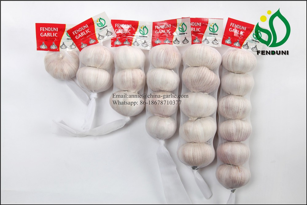 Chinese 2017 Fresh Garlic Price - Supply all year around