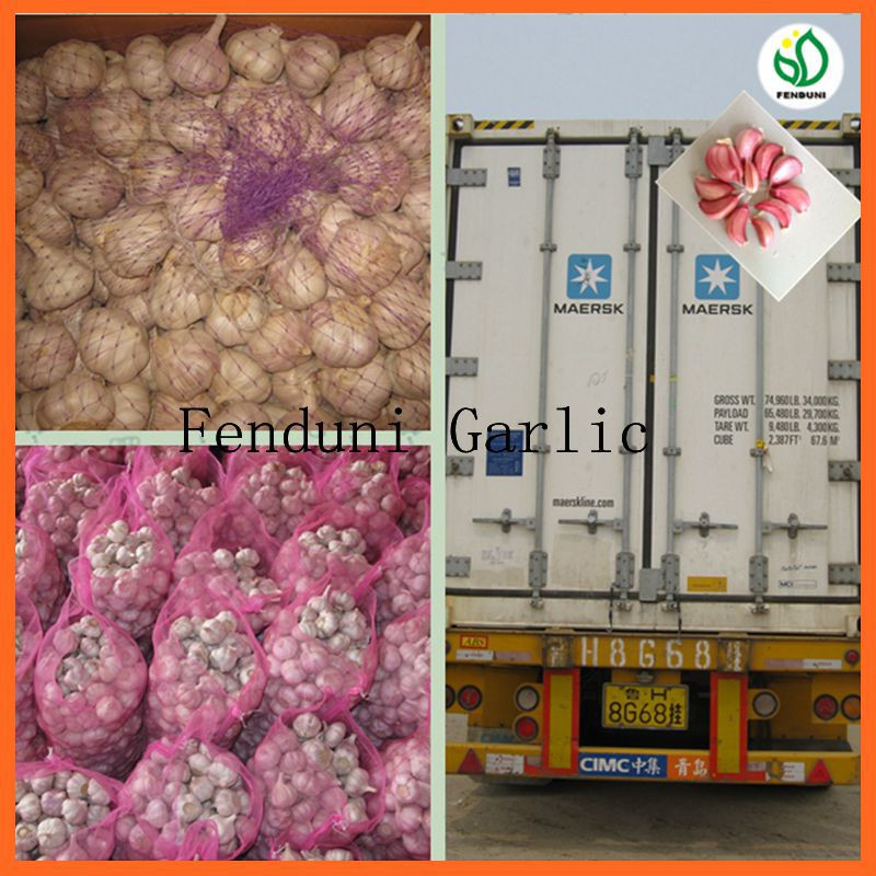 2017 wholesale garlic wholesale garlic buyers wholesale garlic price