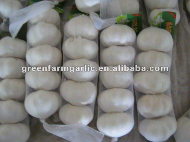 white garlic in 3pcs/500g/1kg mesh bag