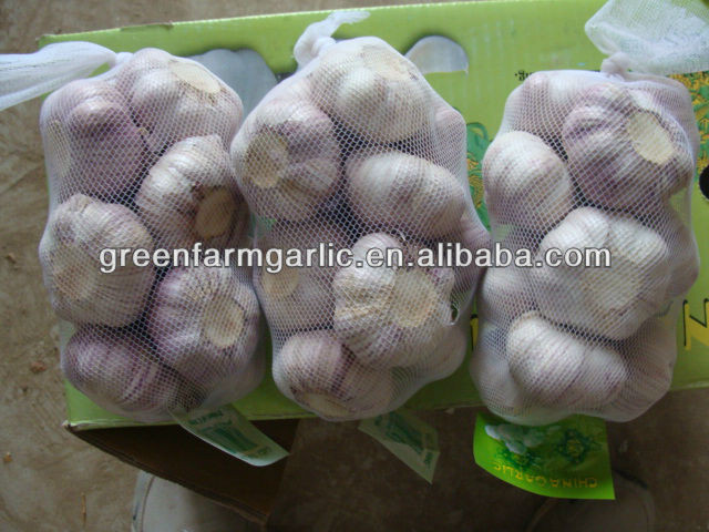 white garlic 5.5cm