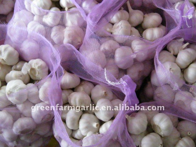 Jining greenfarm fresh garlic 2017