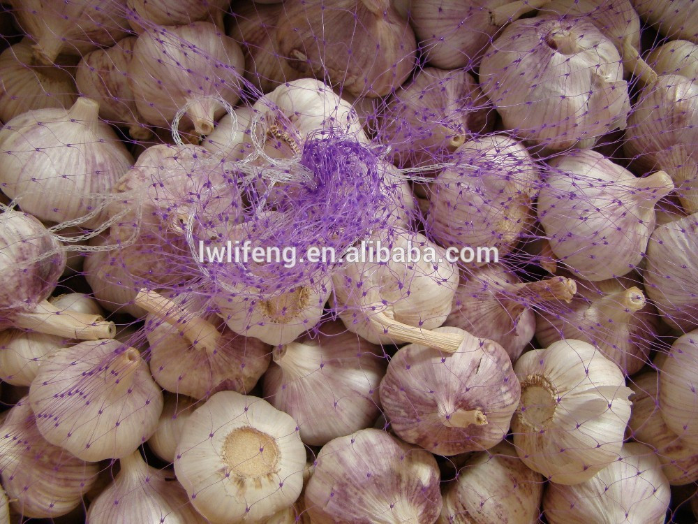 2017 New Crop of Chinese Garlic for Sale