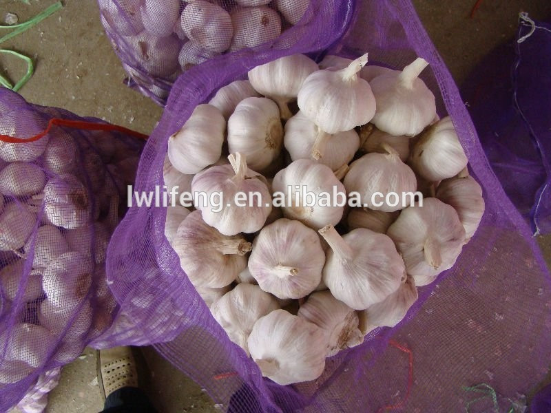 high quality jinxiang 5.0cm white garlic / fresh garlic / chinese garlic
