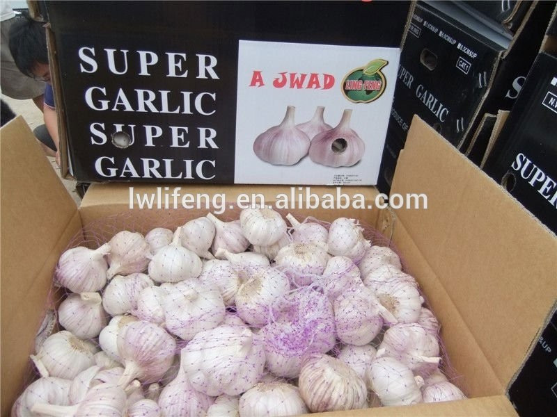 high quality jinxiang 5.0cm white garlic / fresh garlic / chinese garlic