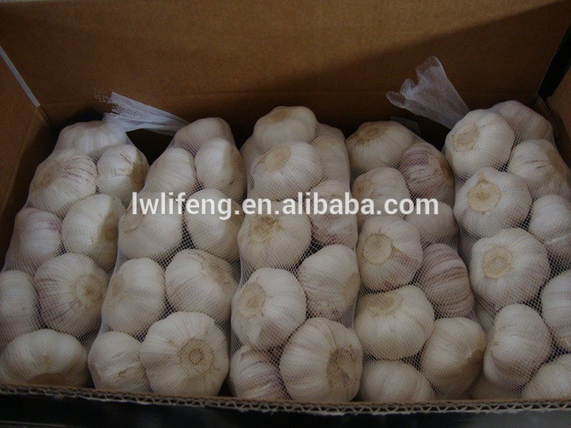 chiniese 2017 new crop fresh white garlic