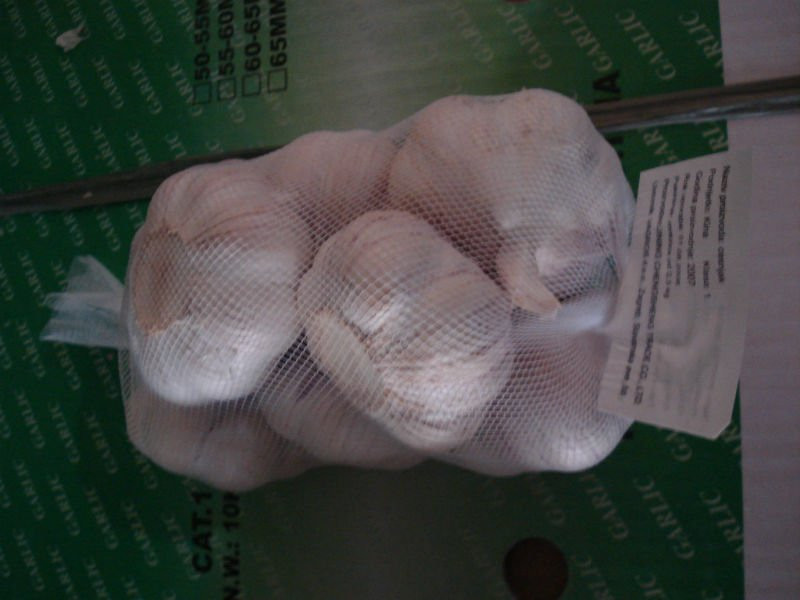 high quality Chinese normal garlic