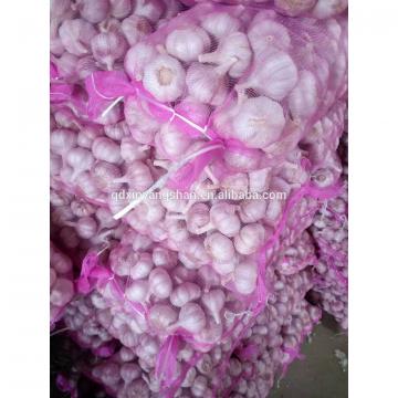Fresh Garlic Packing In Mesh Bag For Sale In A Wholesale Price