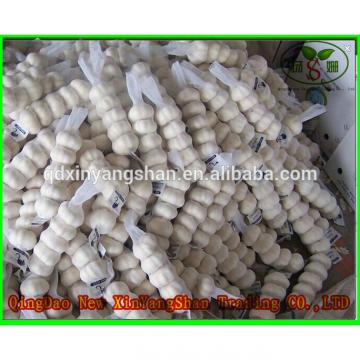 Fresh Garlic For Sale China Garlic Packing In Mesh Bag