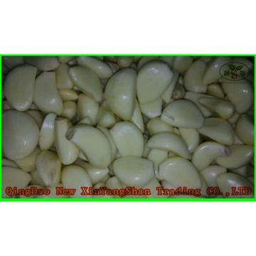 Wholesale Chinese 2017 Fresh Garlic Price Purple/Red/Pure White Garlic
