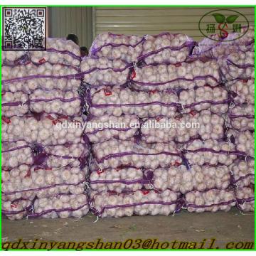 Shandong Garlic Wholesale Export Price 2017