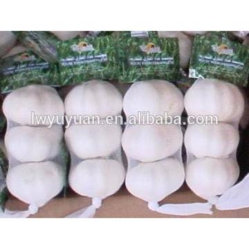 YUYUAN brand hot sail fresh garlic garlic extract