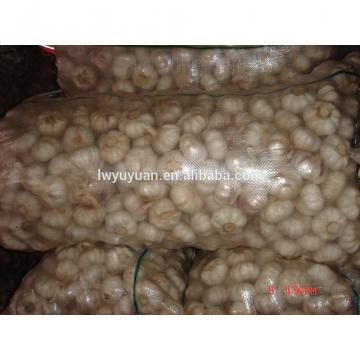YUYUAN brand hot sail fresh garlic garlic oil extraction
