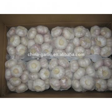 Chinese 2017 New Crop Fresh Garlic Price