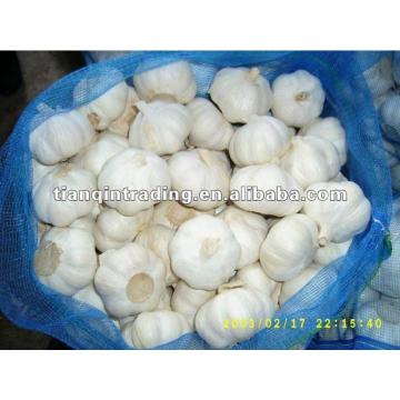 2017 china normal white garlic price