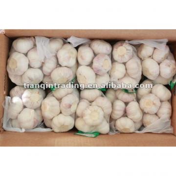 2017 best sell garlic from China