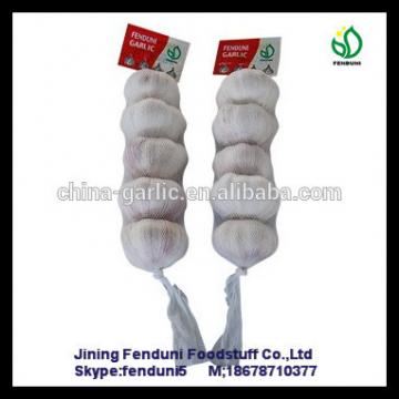 Farm china cheap garlic exporter shandong garlic with great price
