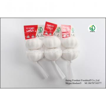 Pure White Garlic From China With 2p;3p;4p;5p;7p 9kg/carton 10kg/carton 20kg/carton