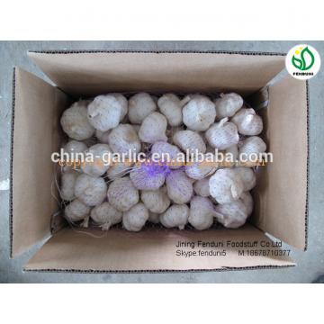 chinese natural garlic on sale garlic benifit for health fresh garlic