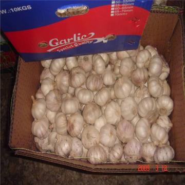 CHINESE GARLIC WITH 10KG CARTON PACKAGE
