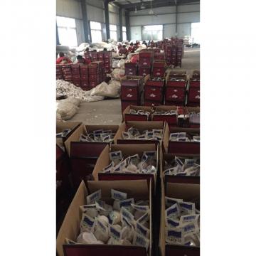 NORMAL WHITE GARLIC WITH SMALL TUBE PACKAGE TO TURKEY MARKET FROM FACTORY