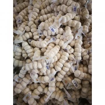 2018 New Crop chinese fresh garlic