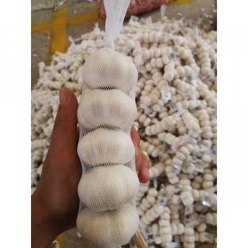 2018 New Crop fresh garlic from china