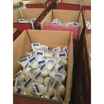 2018 pure white garlic with 200g *50 carton package to Turkey