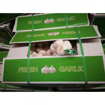 2018 pure white garlic with carton package to Nicaragua Market