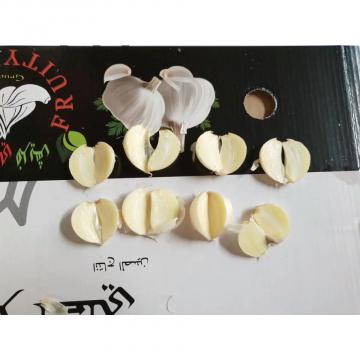 pure white garlic with meshbag& carton package to Iraq Market from china ,2018