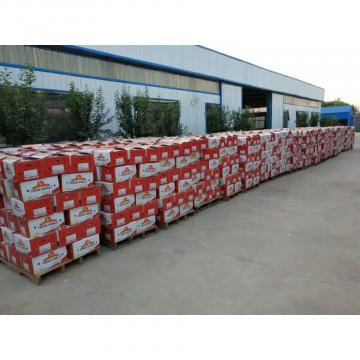 China 10KG Loose carton package Normal white garlic to Brazil Market