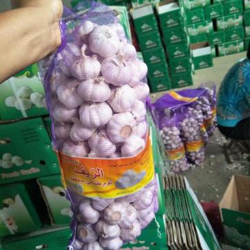 china 5cm Normal white garlic with 5kg meshabg package to Algeria market