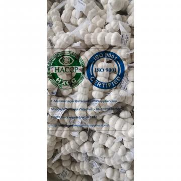 China pure white garlic are (200g*50 bags=10kg/carton ) for Iraq market.