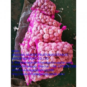 Normal white garlic with meshbag to Russia market from china factory