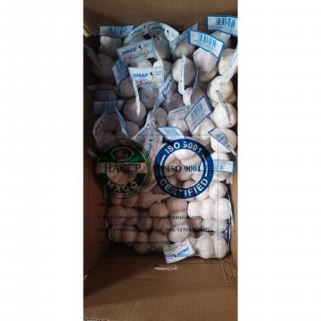 GREAT QUALITY CHINA GARLIC ARE EXPIRTED TO COSTA RICA MARKET.