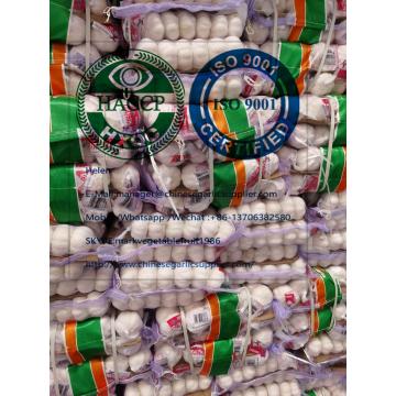 Top Quality pure white garlic with tube meshbag package to Lebanon market