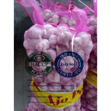 Normal white garlic with meshbag to Paraguay market.