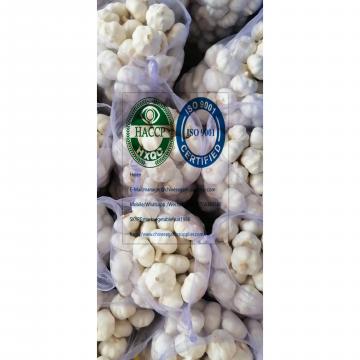 2020 new crop china pure white garlic (6.0-6.5 CM) with 10KG meshbag package to Turkey market