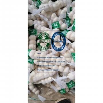 2020 new crop pure white garlic with tube meshbag & carton package to Nicaragua Market