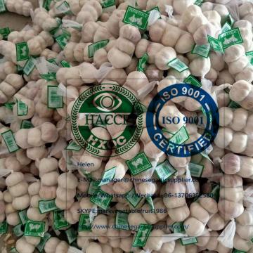 Normal White Garlic With Small Package To Ukraine Market！