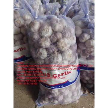 NORMAL WHITE GARLIC ARE EXPORTED TO EGUADOR MARKET WITH 10KG MESHBAG PACKAGE FROM CHINA GALRIC FACTORY