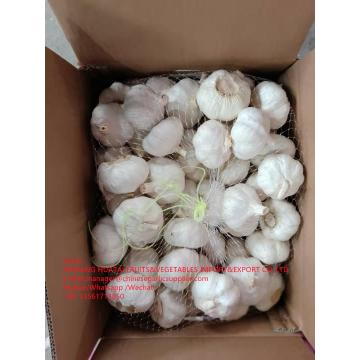 China pure white garlic with carton pacakge to EU market