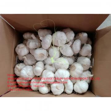 China pure white garlic with carton pacakge to EU market