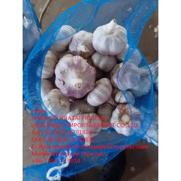 Top quality normal white garlic with meshbag to Dominican Republic market