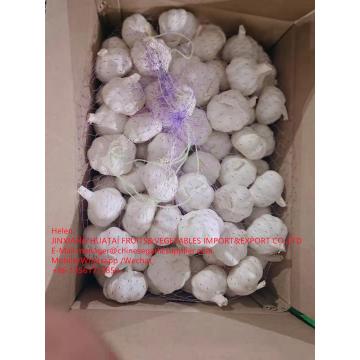 Pure white garlic with carton and meshbag package to EU Market