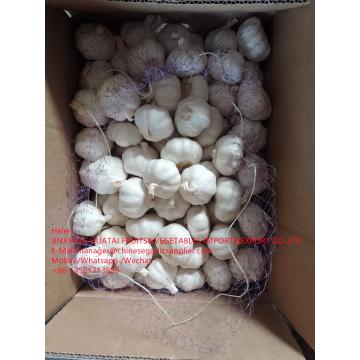 China Pure white garlic with carton and meshbag package to EU Market
