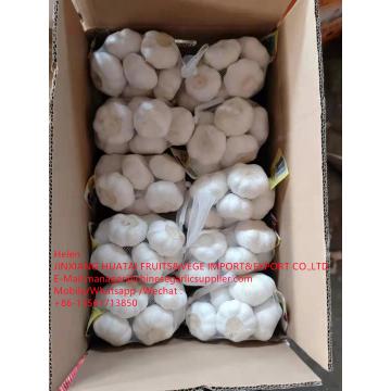 China Normal white garlic with carton package to UK Market