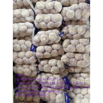 white garlic with carton package to UK Market with good quality from China