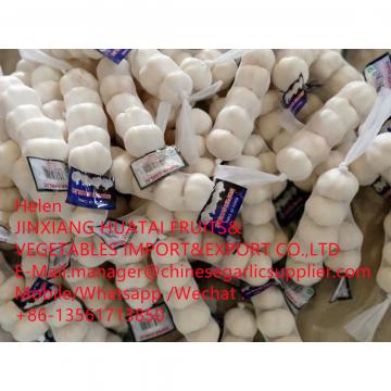 pure white garlic with tube meshbag to Iraq market from china garlic factory