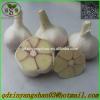 Hot Sale Chinese Garlic With A Purple White Skin Outside And Each Clove Purple White Skin Inside